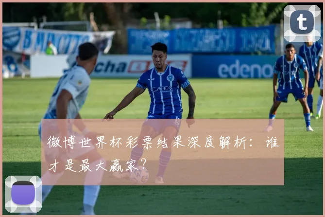 微博世界杯彩票结果深度解析：谁才是最大赢家？