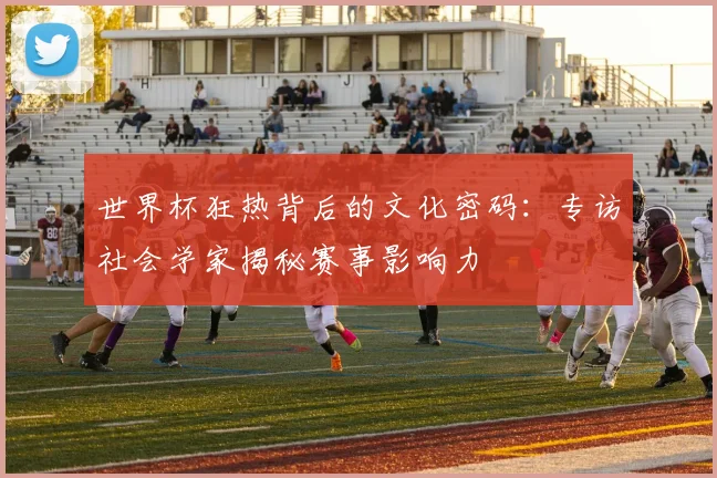 世界杯狂热背后的文化密码：专访社会学家揭秘赛事影响力