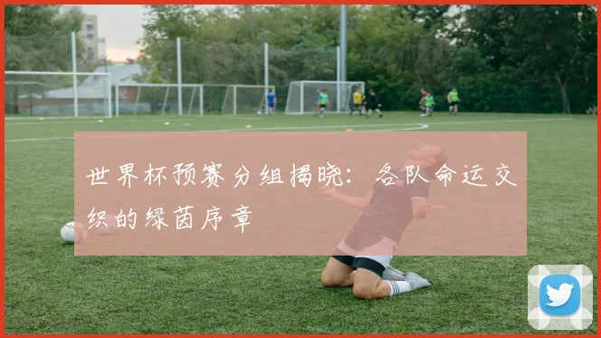 世界杯预赛分组揭晓：各队命运交织的绿茵序章