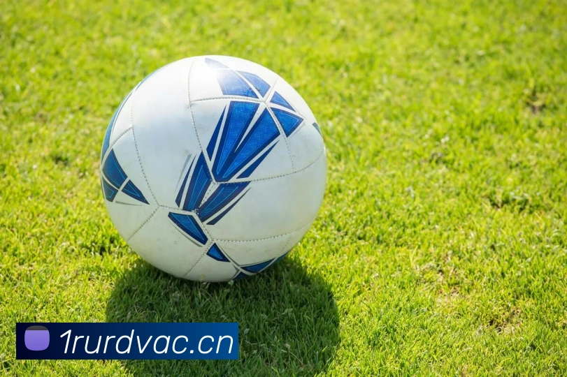mksports登录入口平台生态图